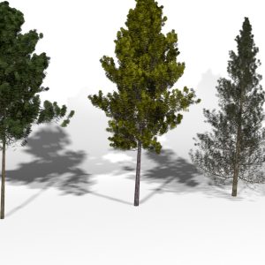 مدل سه بعدی درخت Realistic Trees